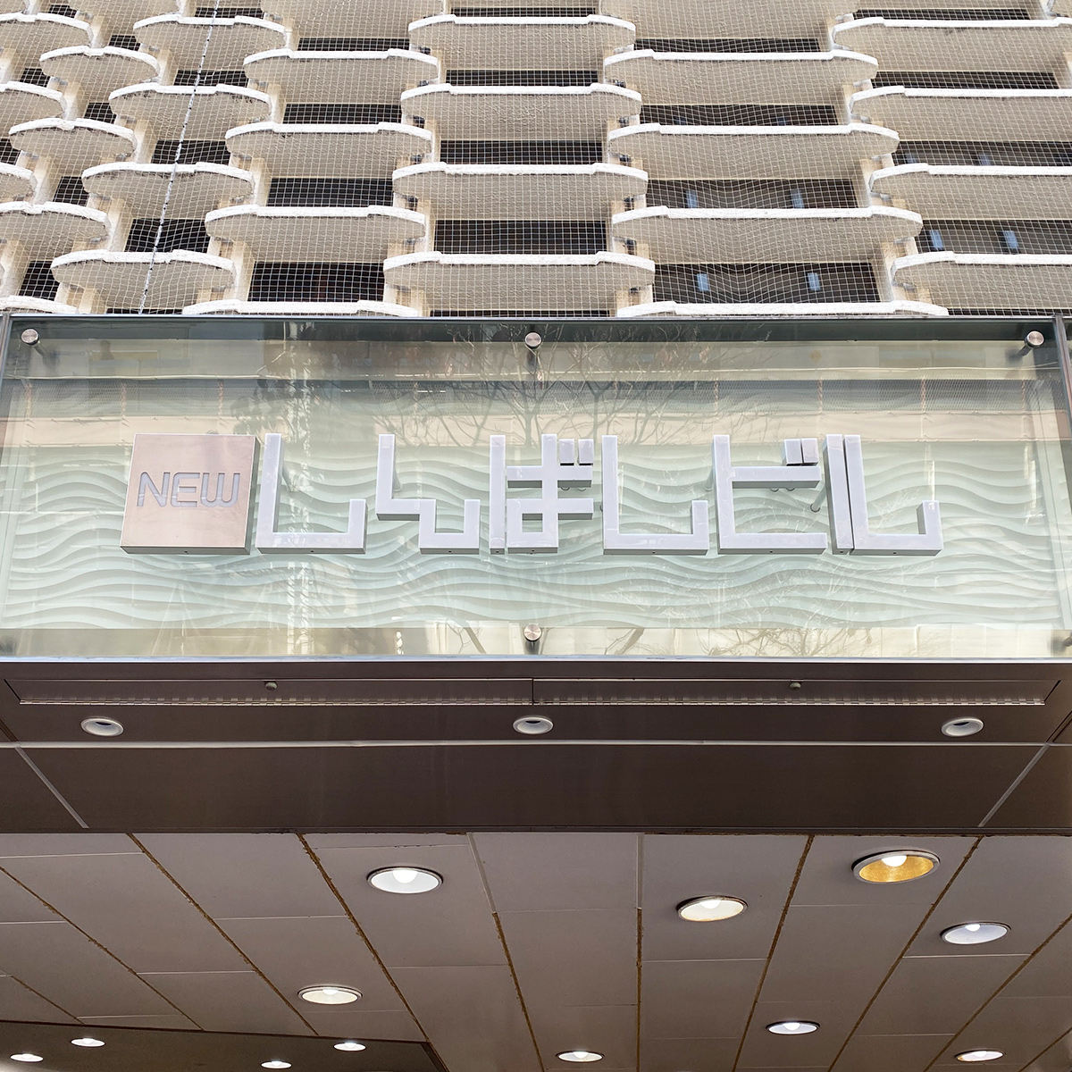 複合商業施設、ニュー新橋ビルです。